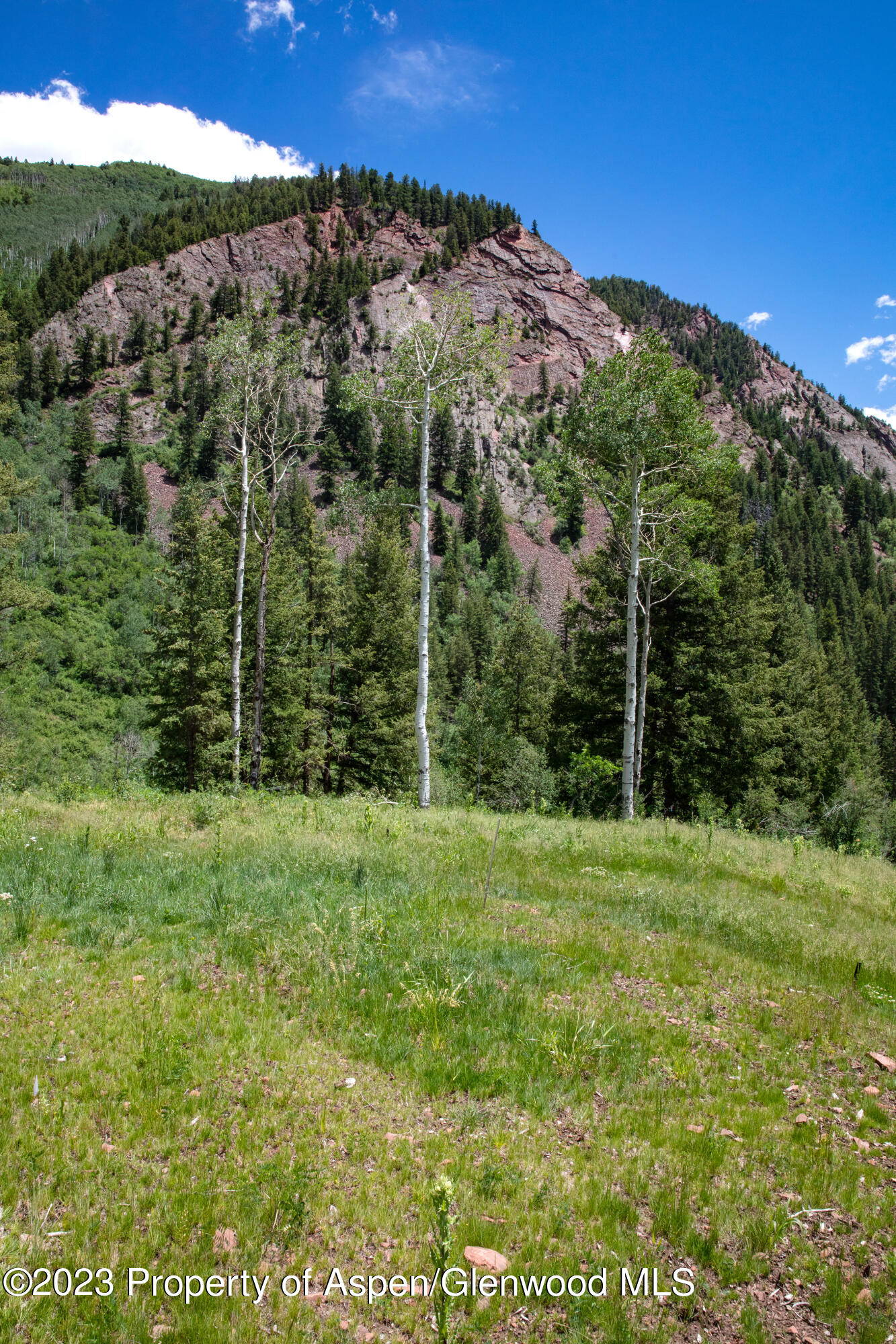 640 South Hayden Road Aspen, CO 81611 - Photo 24 of 42 10