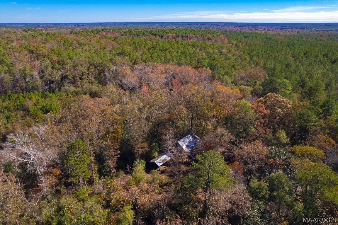 3134 Benton Store Road Columbia, AL 36319 - Photo 58 of 62 Gallery Image 58