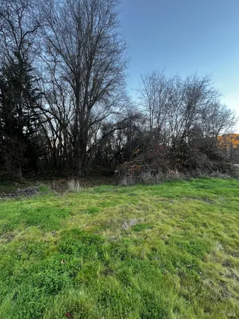 a view of yard with green space