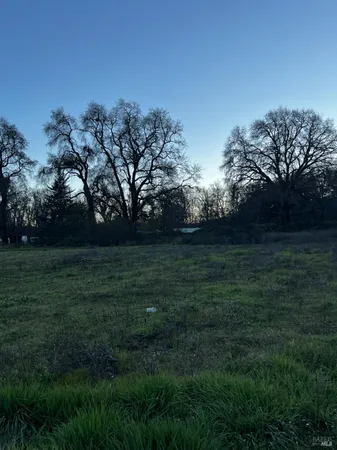 a view of yard with green space