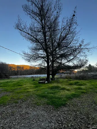 a view of a big yard