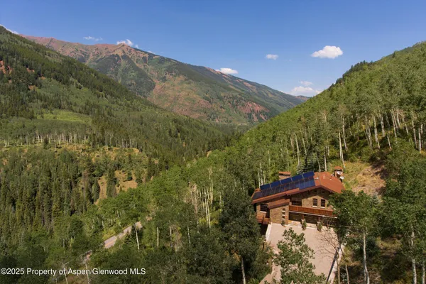 a view of a forest with a mountain