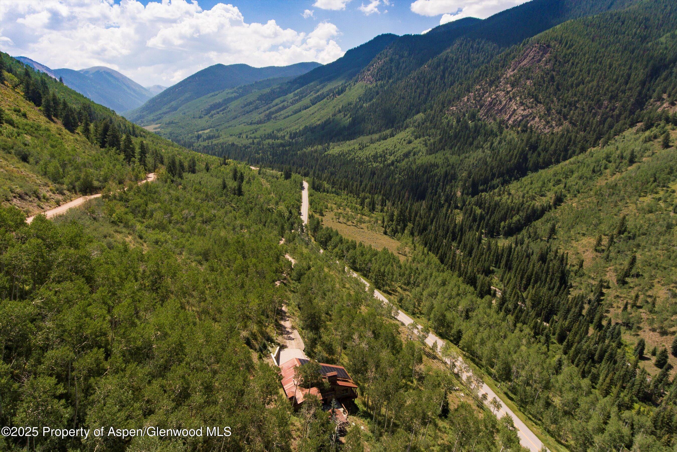 6770 Castle Creek Road Aspen, CO 81612 - Photo 4 of 53 a view of a lush green forest with houses