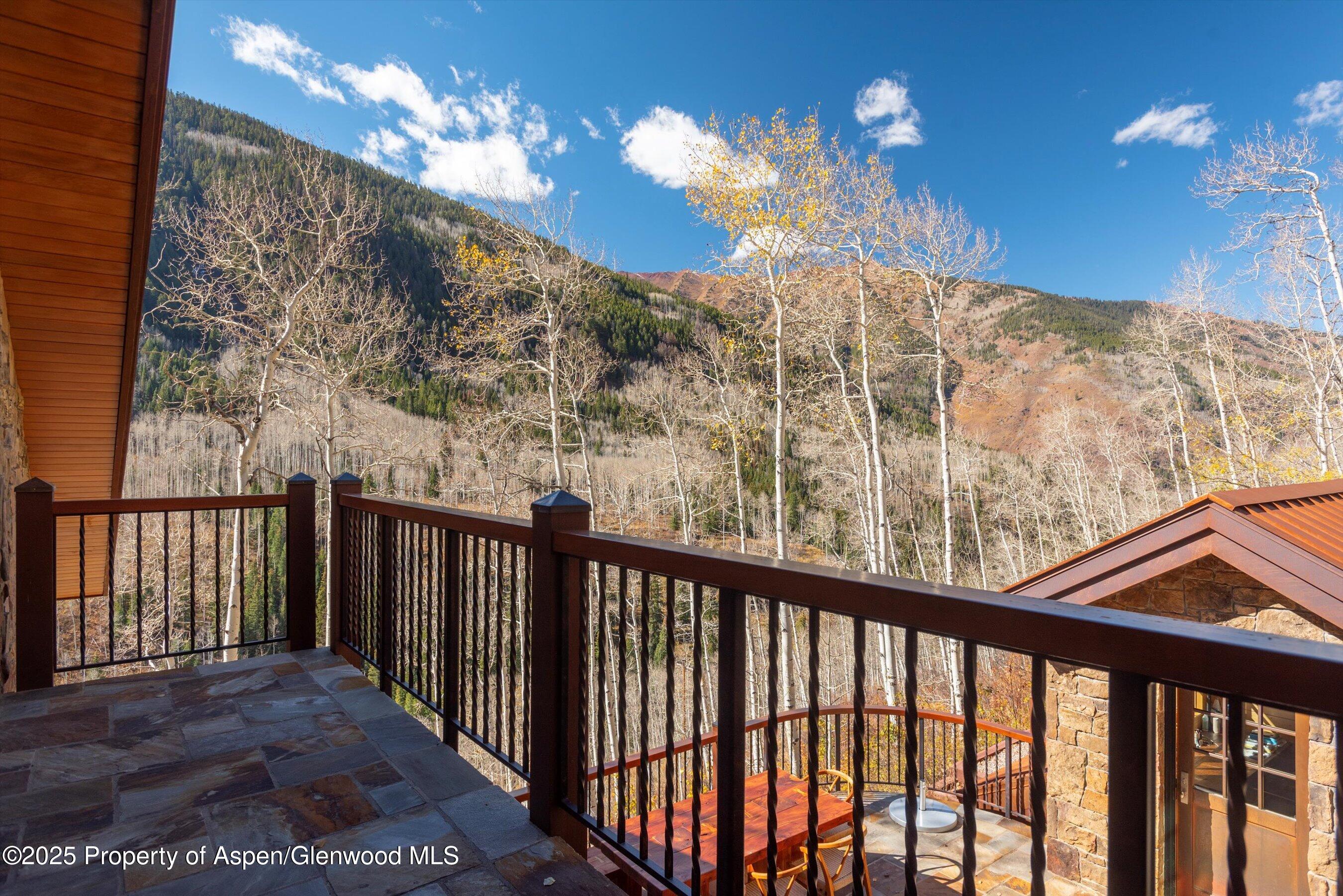 6770 Castle Creek Road Aspen, CO 81612 - Photo 49 of 53 a view of a balcony with lamp