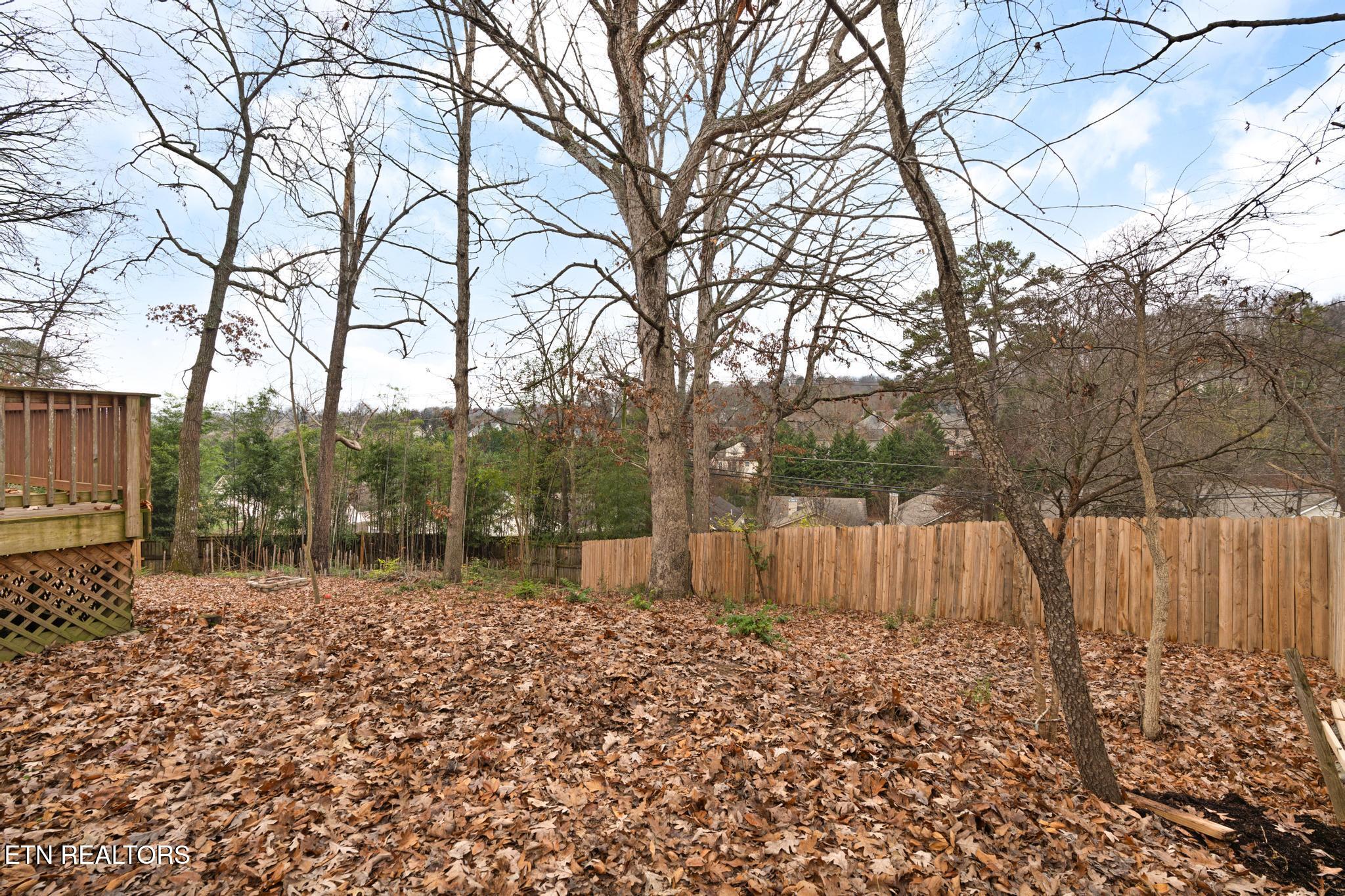 805 Tree Trunk Road Knoxville, TN 37934 - Photo 40 of 44 Fenced Backyard