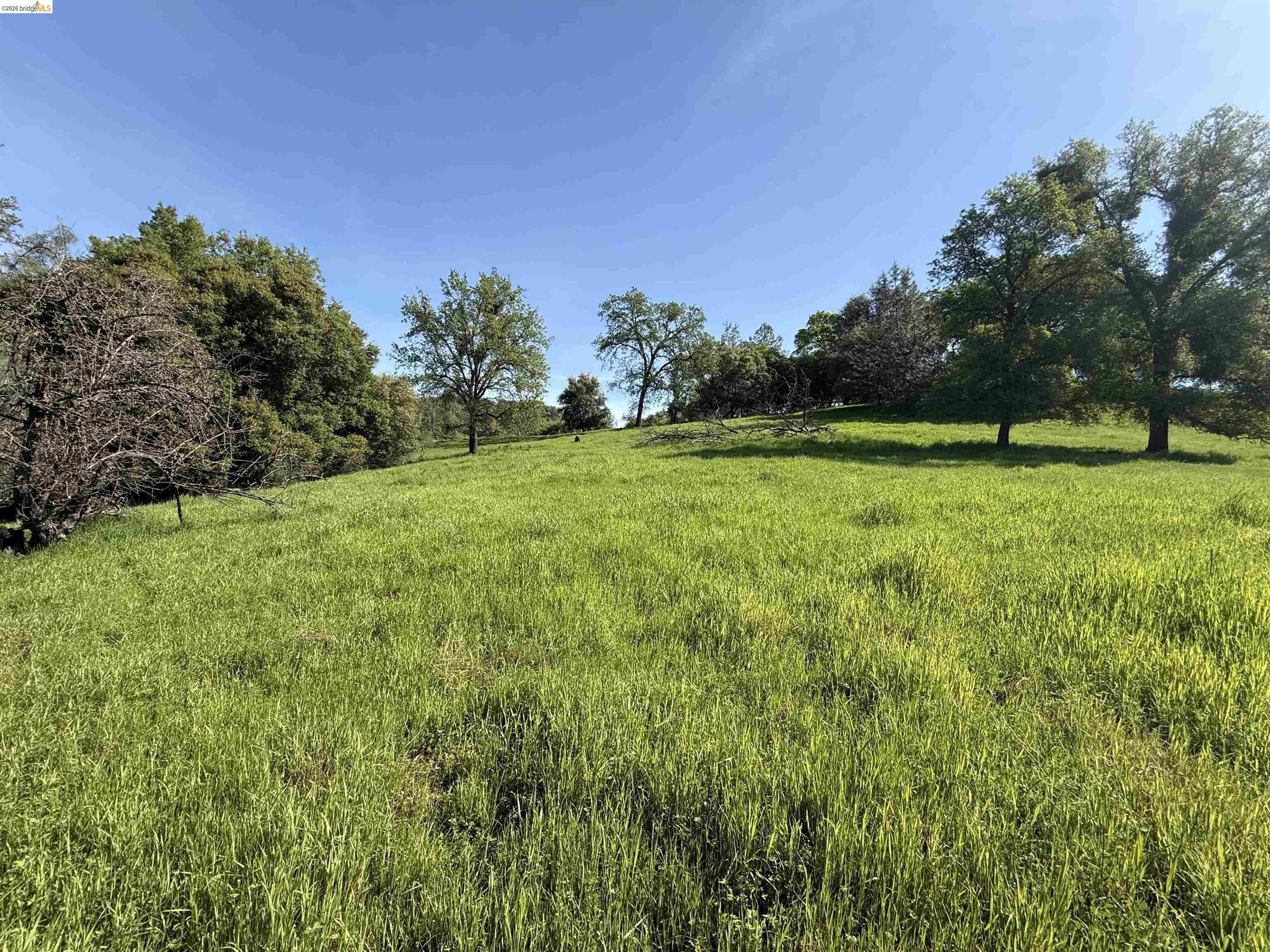 8534 Wilcox Ranch Road Sonora, CA 95370 - Photo 1 of 21 a view of a field of grass and trees