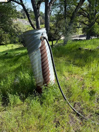 a view of a backyard with plants