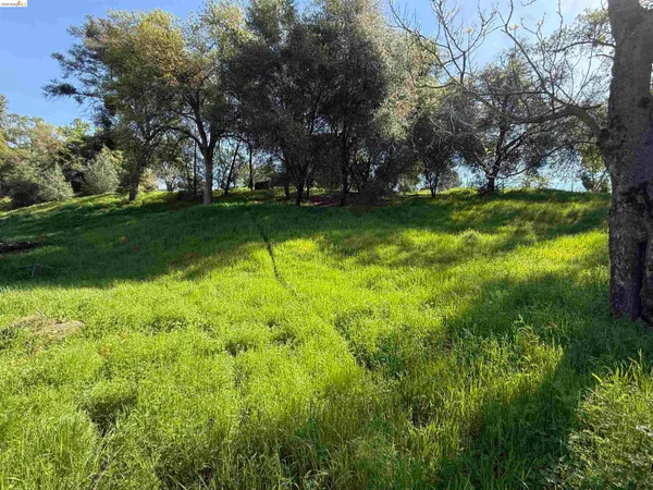 a view of swimming pool with a yard