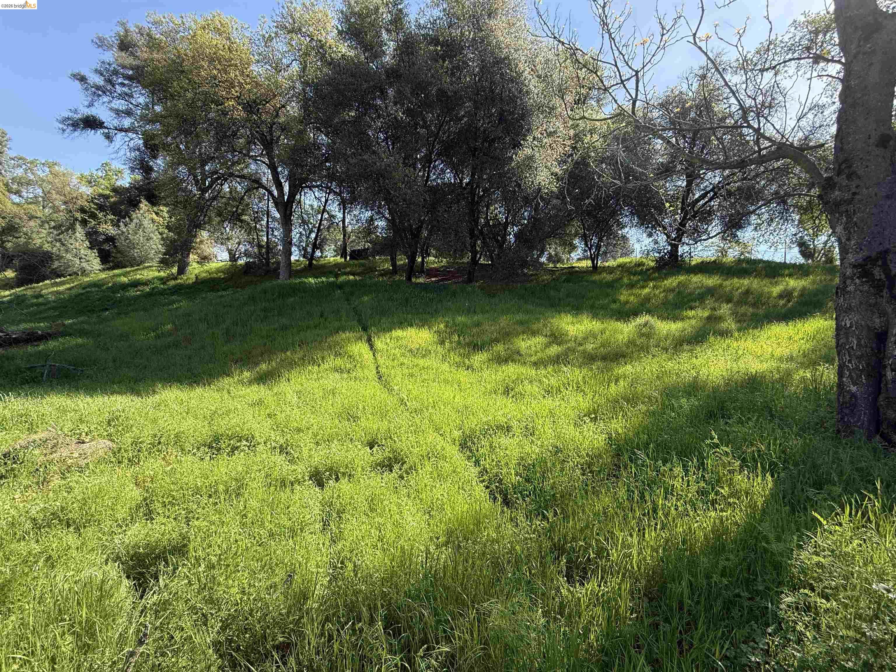 8534 Wilcox Ranch Road Sonora, CA 95370 - Photo 12 of 21 a view of swimming pool with a yard
