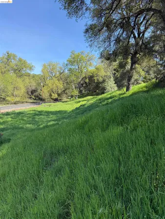a view of yard with green space