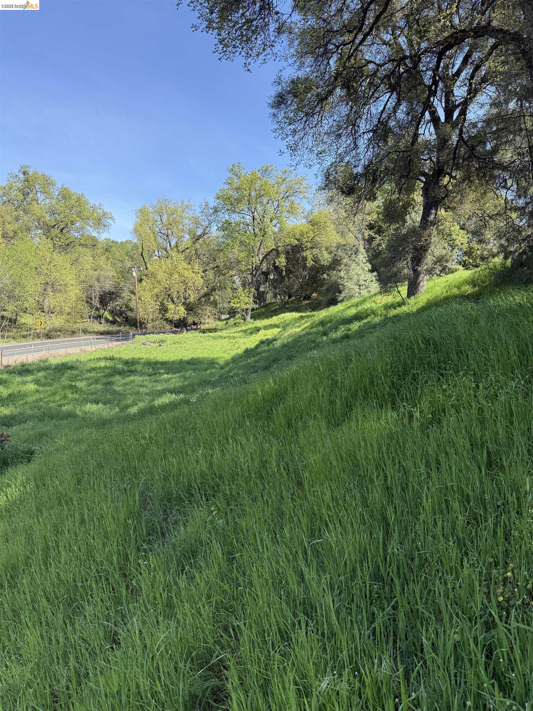 8534 Wilcox Ranch Road Sonora, CA 95370 - Photo 14 of 21 a view of yard with green space