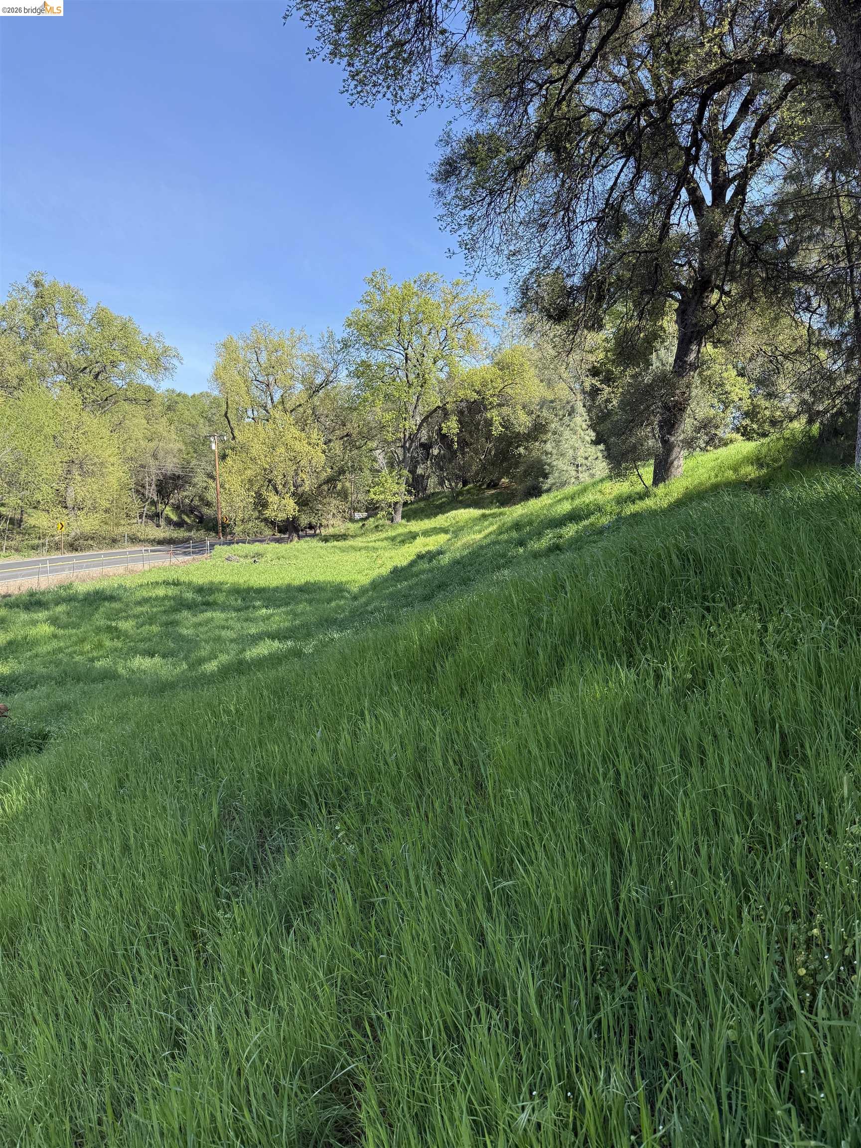 8534 Wilcox Ranch Road Sonora, CA 95370 - Photo 15 of 21 a view of an outdoor space and a yard