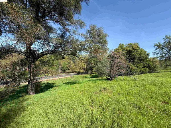 a view of backyard with green space