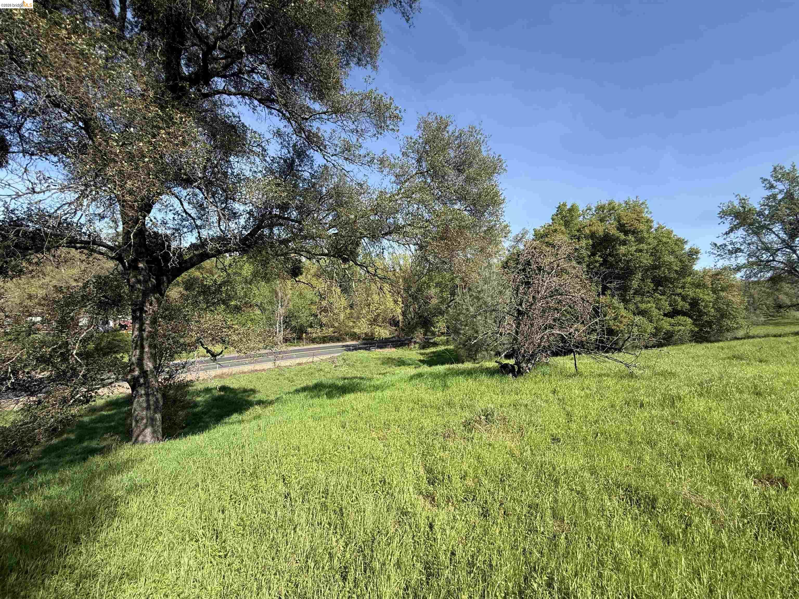 8534 Wilcox Ranch Road Sonora, CA 95370 - Photo 16 of 21 a view of backyard with green space