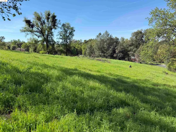 a big yard with lots of green space