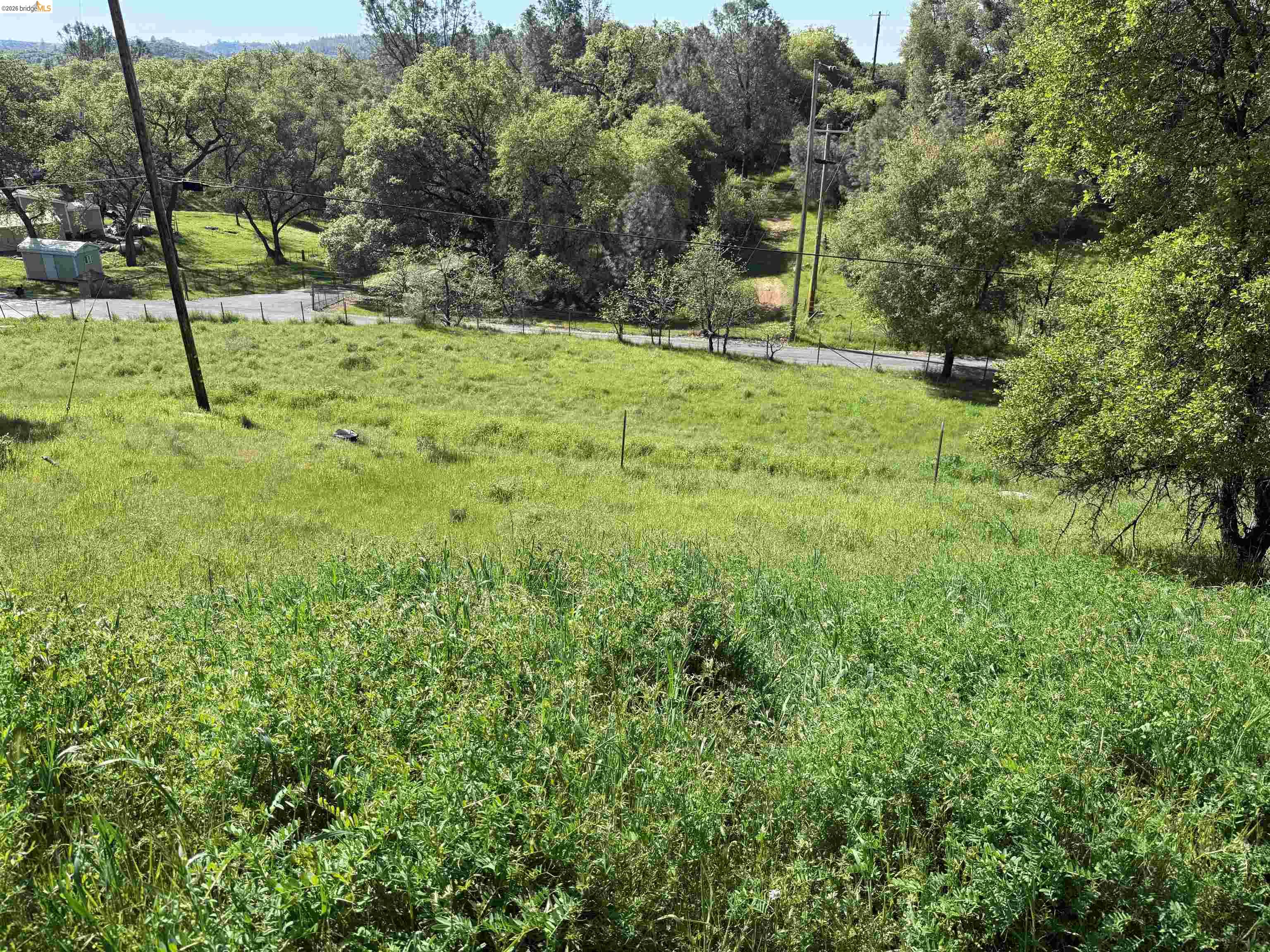 8534 Wilcox Ranch Road Sonora, CA 95370 - Photo 20 of 21 a fire hydrant in the middle of a field