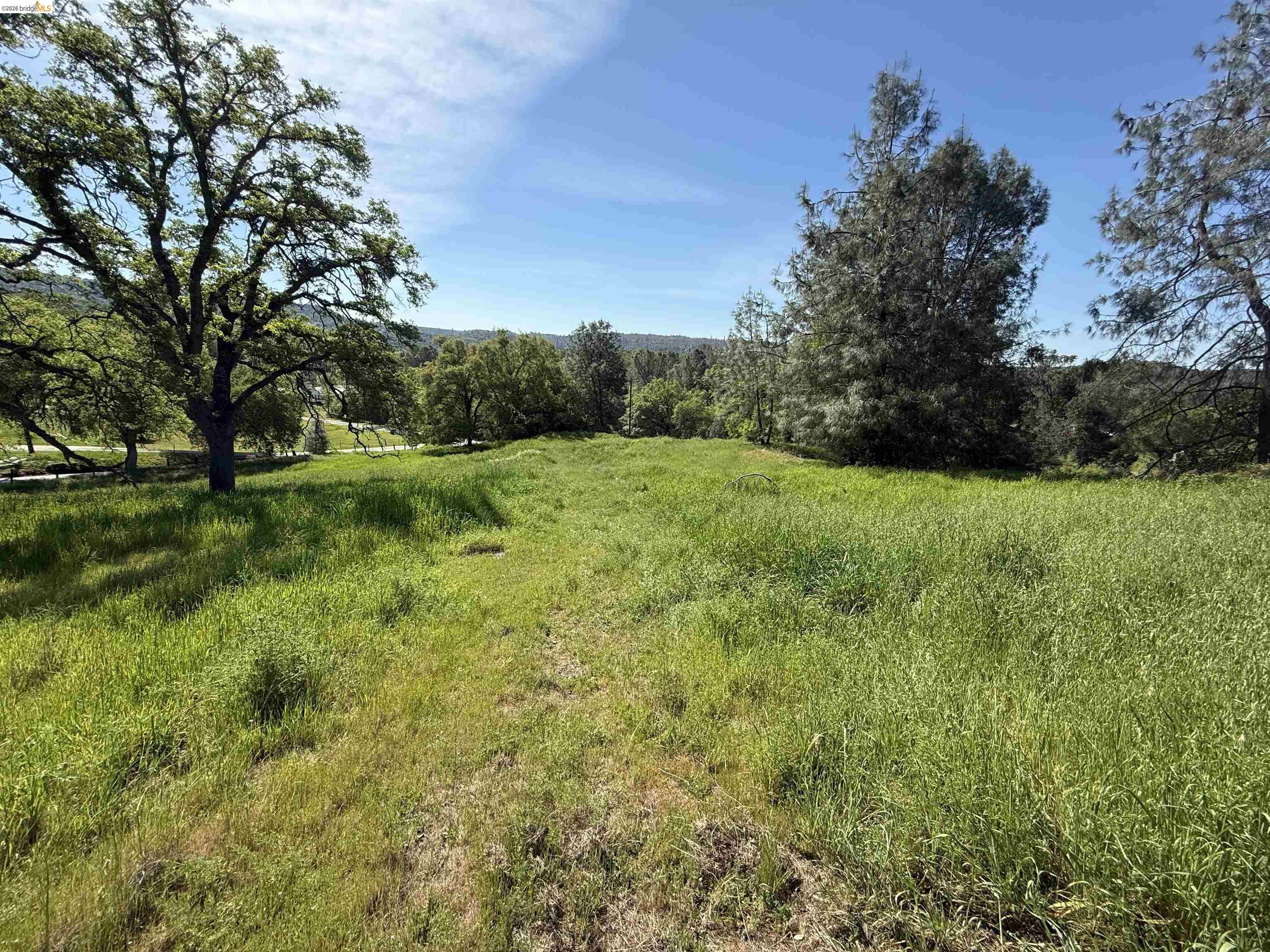 8534 Wilcox Ranch Road Sonora, CA 95370 - Photo 5 of 21 a view of an outdoor space and a yard