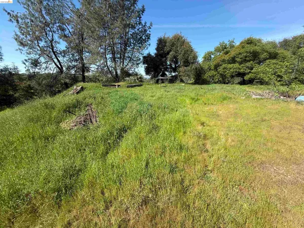 a view of a green field with lots of bushes