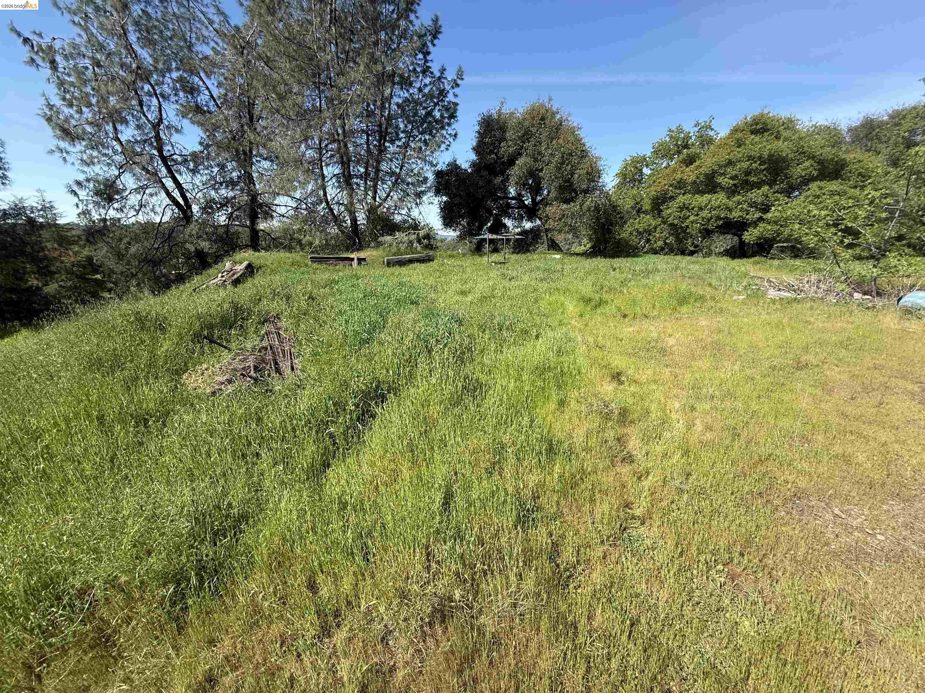 8534 Wilcox Ranch Road Sonora, CA 95370 - Photo 8 of 21 a view of a green field with lots of bushes