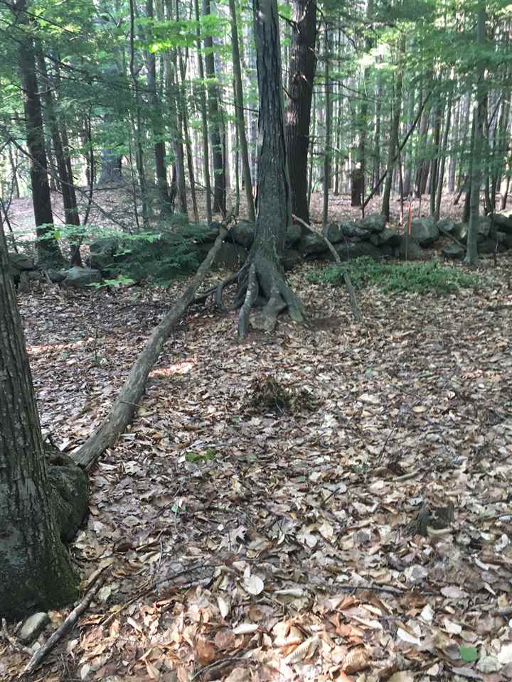 M-98-2 Robbins Road, Unit M982 Wilton, NH 03086 - Photo 1 of 8