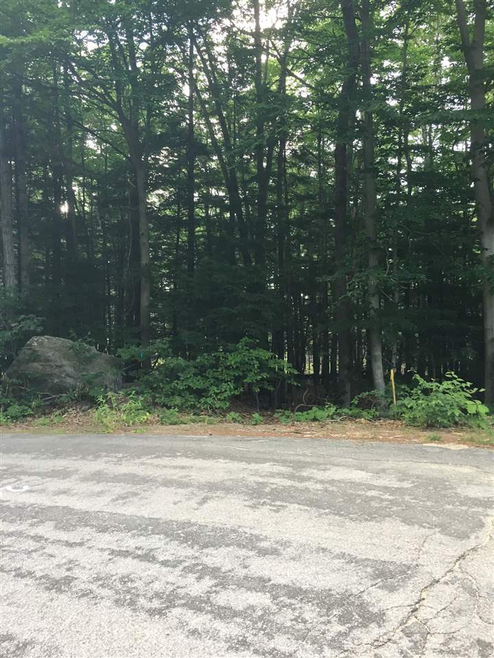 M-98-2 Robbins Road, Unit M982 Wilton, NH 03086 - Photo 4 of 8