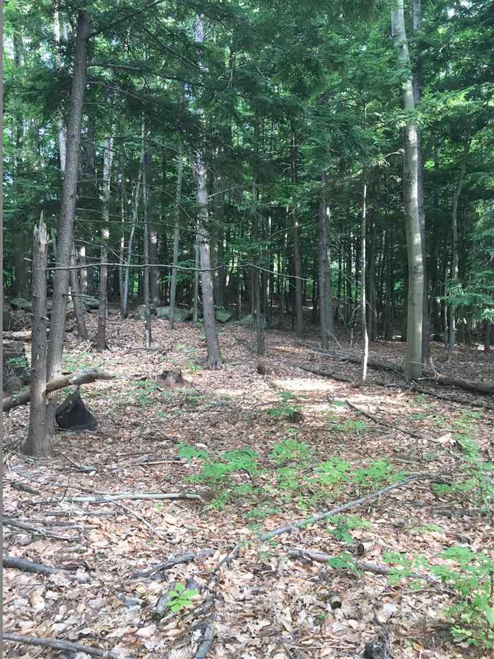 M-98-2 Robbins Road, Unit M982 Wilton, NH 03086 - Photo 5 of 8