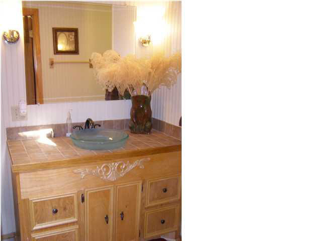 215 Lake Harbor Road Brandon, MS 39047 - Photo 13 of 22 Master bath vanity has a vessel sink