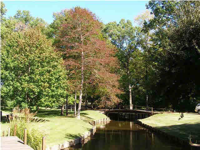 215 Lake Harbor Road Brandon, MS 39047 - Photo 3 of 22 Photo 3