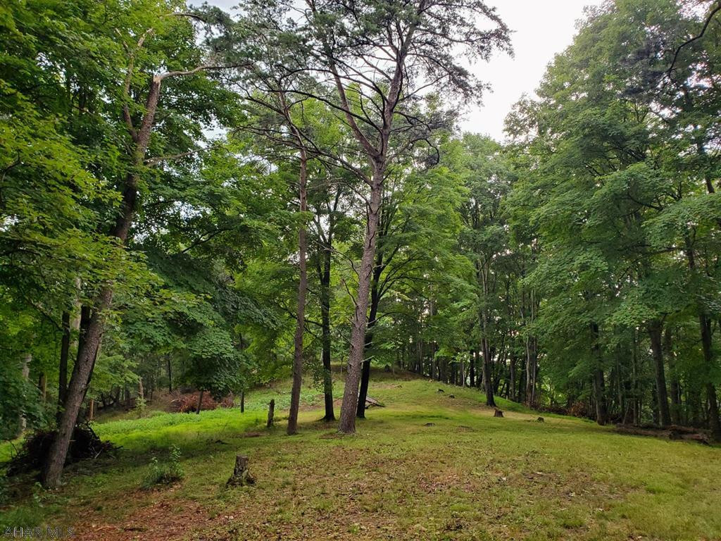 186 Imes Road Clearville, PA 15535 - Photo 10 of 12 Gallery Image 10