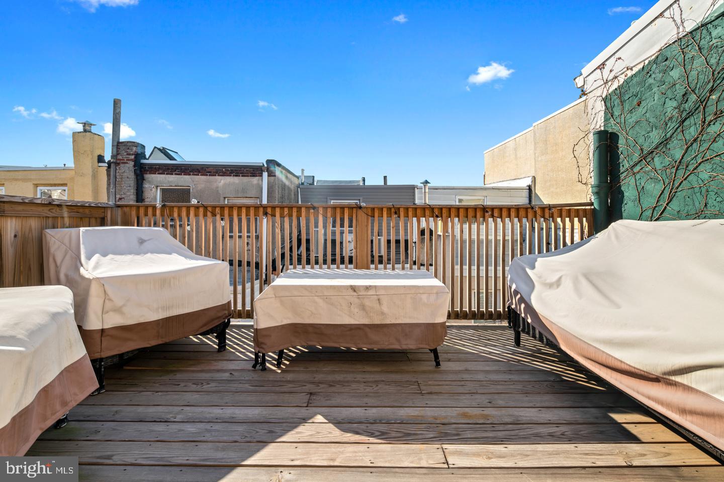 738 South Mildred Street Philadelphia, PA 19147 - Photo 15 of 22 Deck off of main bedroom