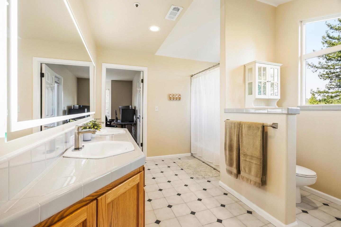 2500 Nelson Road Scotts Valley, CA 95066 - Photo 33 of 77 a bathroom with a sink a toilet and shower