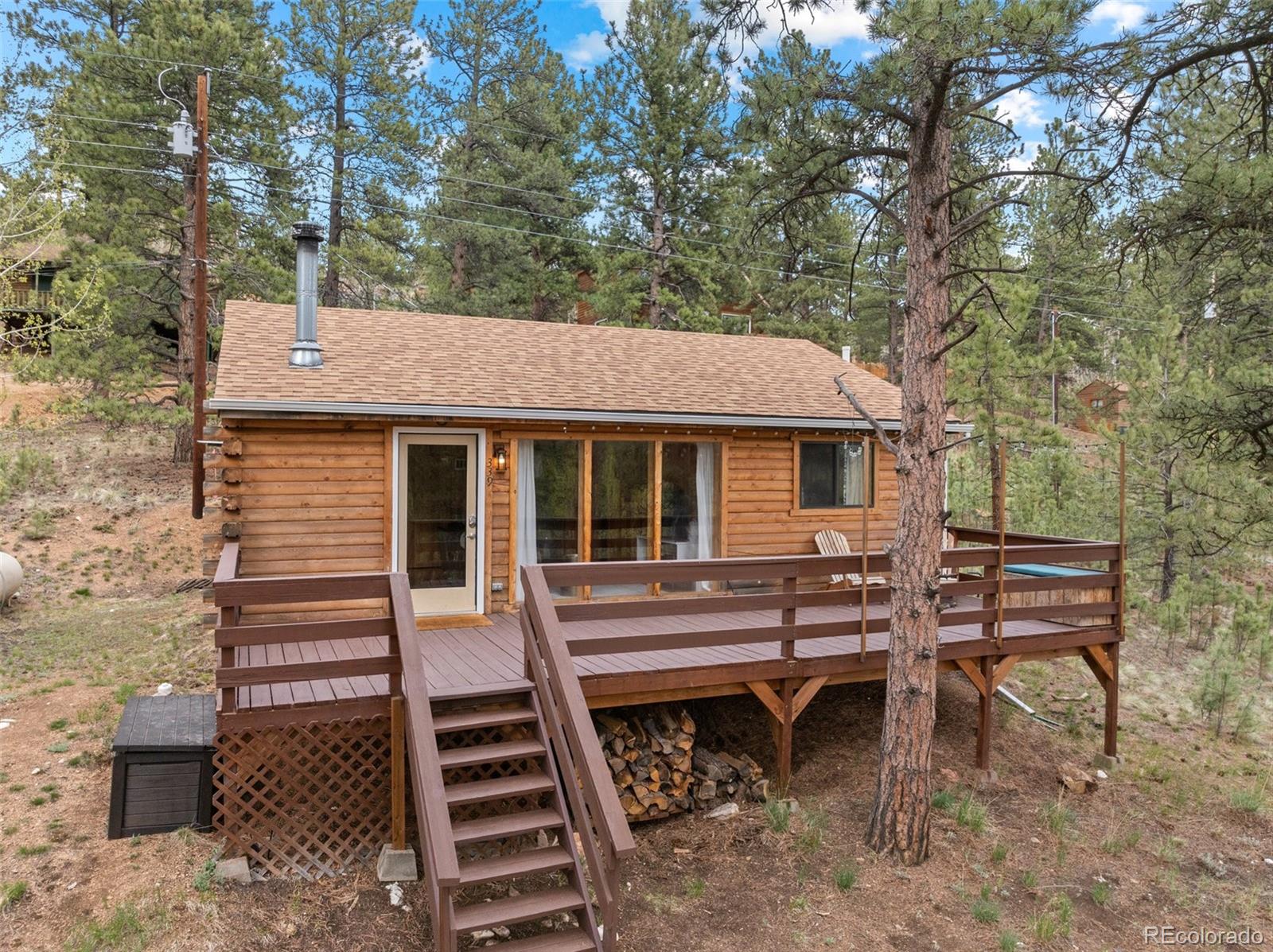 339 Hall Road Bailey, CO 80421 - Photo 21 of 29