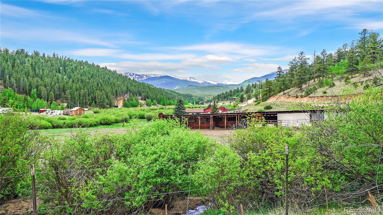 339 Hall Road Bailey, CO 80421 - Photo 26 of 29