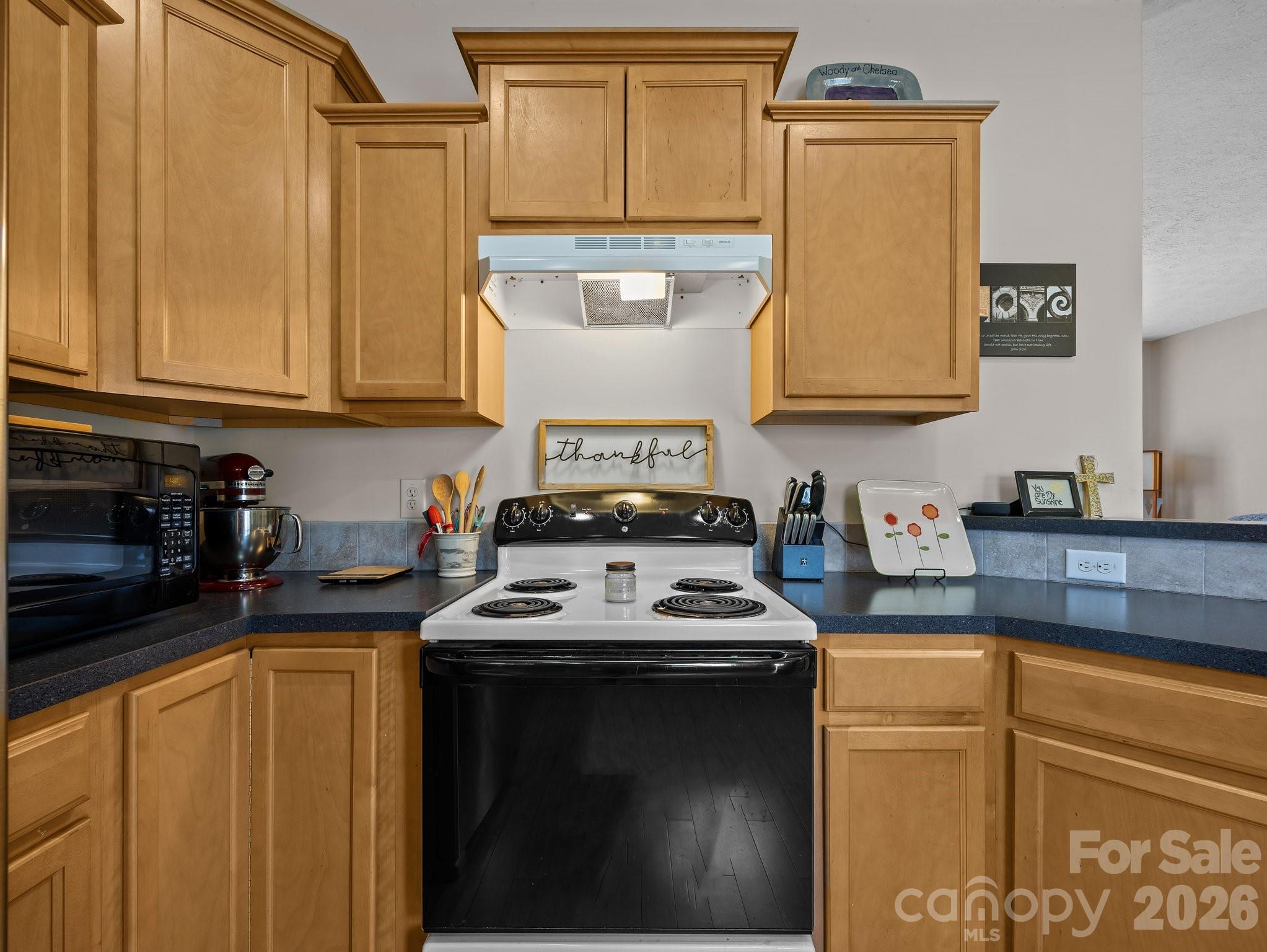 233 Thompson Cv Road Clyde, NC 28721 - Photo 11 of 24 a kitchen with stainless steel appliances granite countertop a stove a sink and a microwave