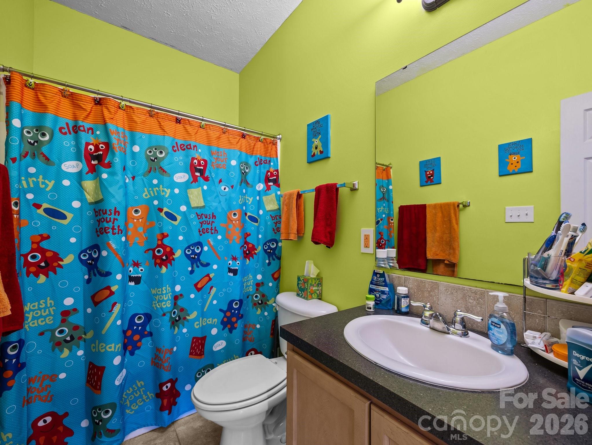 233 Thompson Cv Road Clyde, NC 28721 - Photo 15 of 24 a bathroom with a sink mirror vanity and toilet
