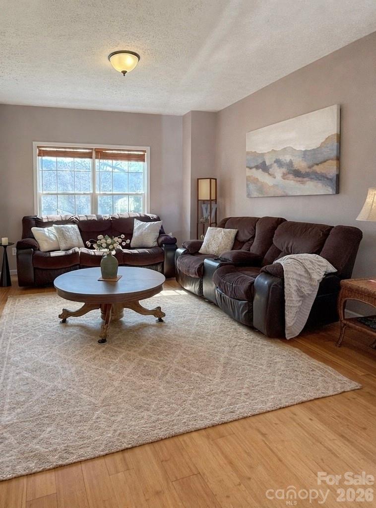 233 Thompson Cv Road Clyde, NC 28721 - Photo 6 of 24 a living room with furniture and a couch