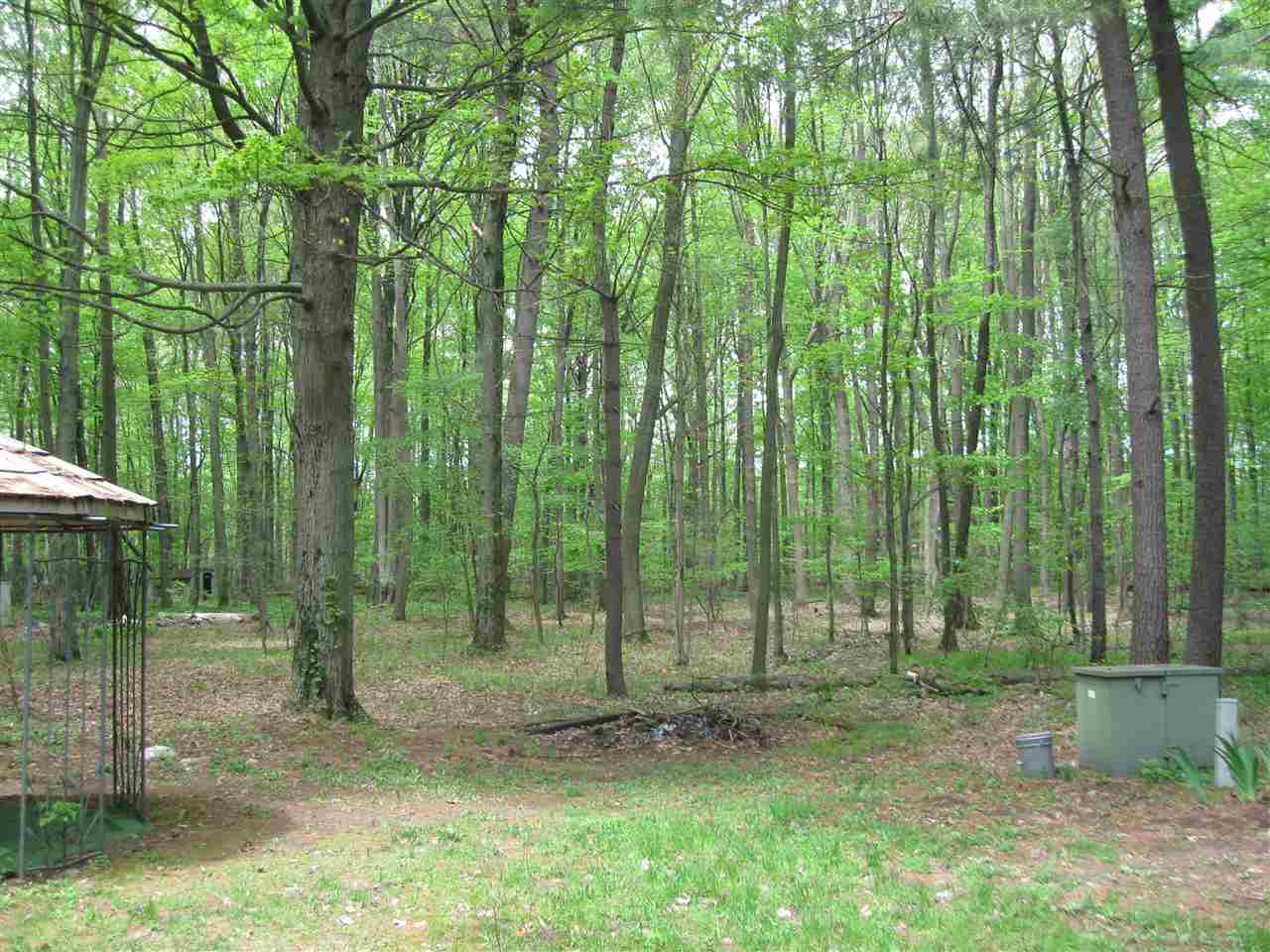 1355 Johnstone Road Henderson, MI 48841 - Photo 4 of 4