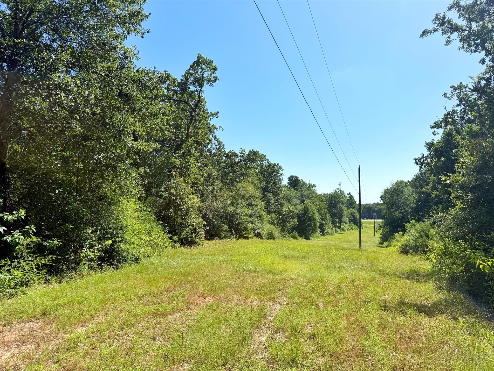 Tbd Tbd I-45 West Feeder Road Centerville, TX 75833 - Photo 7 of 15