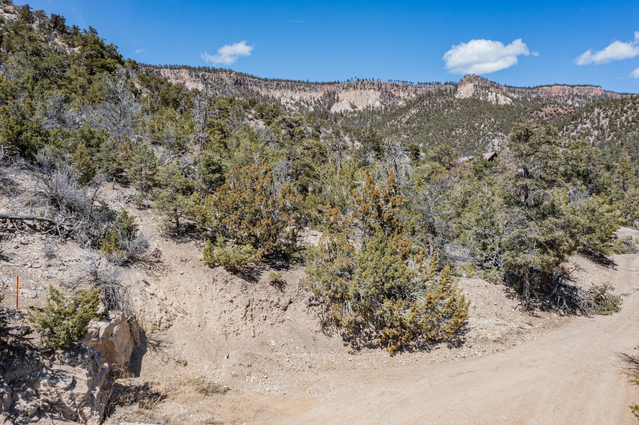 45 A Banco Bonito Road Jemez Springs, NM 87025 - Photo 17 of 17