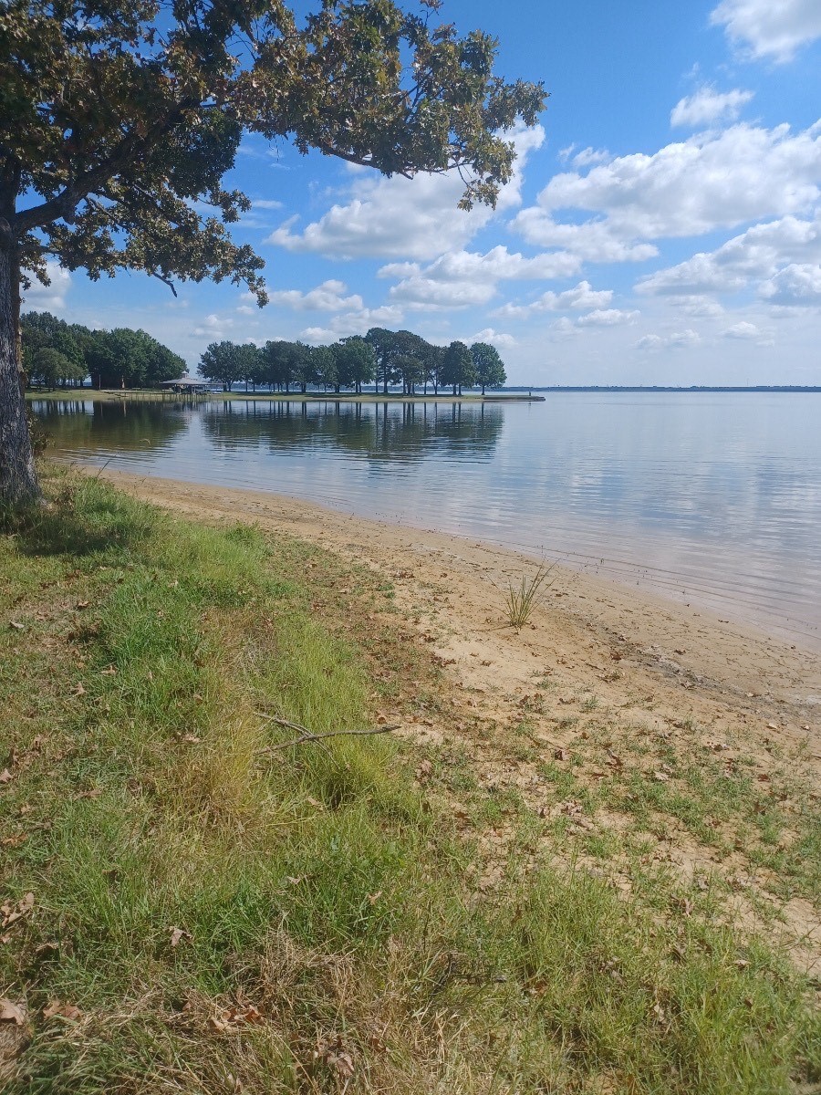 0 Scenic Road Trinidad, TX 75163 - Photo 4 of 7 a view of a lake with houses in the background