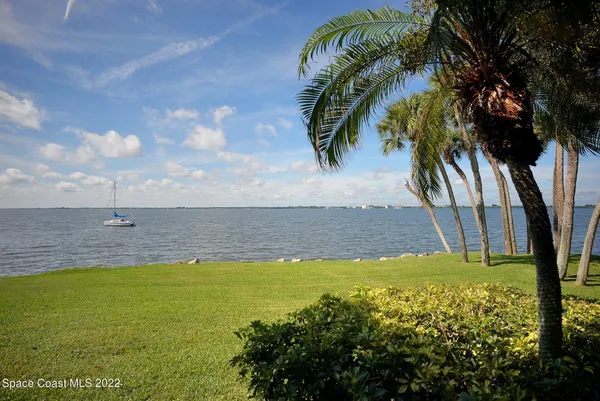 a view of a swimming pool with a garden