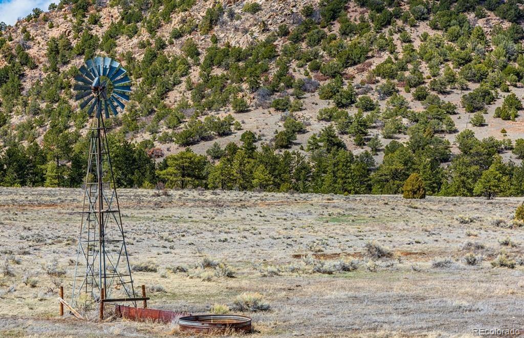 Lot 36 Marcey Road Westcliffe, CO 81252 - Photo 11 of 25 a view of a dry yard with trees