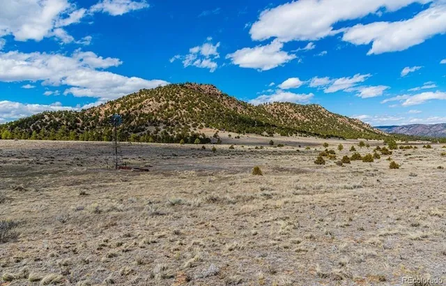 a view of a dry yard with wooden fence