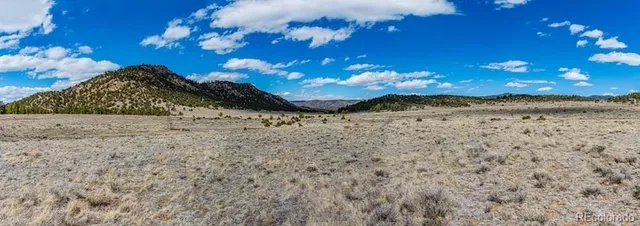 a view of a of a yard with a swimming pool