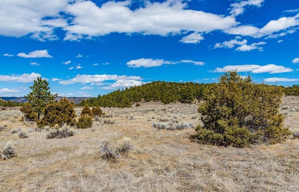 Lot 36 Marcey Road Westcliffe, CO 81252 - Photo 20 of 25 a view of a sky