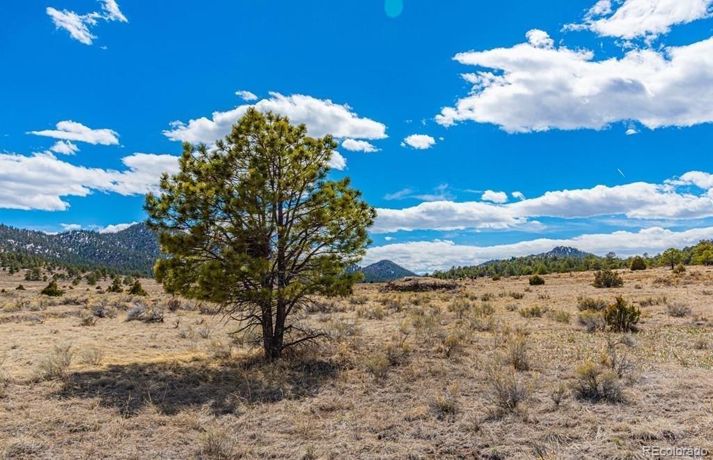 Lot 36 Marcey Road Westcliffe, CO 81252 - Photo 21 of 25 a view of a yard with a tree