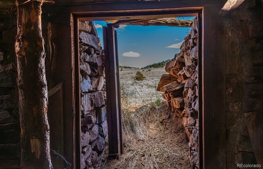 Lot 36 Marcey Road Westcliffe, CO 81252 - Photo 10 of 25 a view of walk in closet