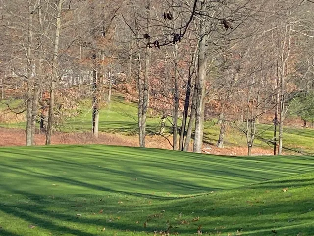 $58,900 | 8975 Whispering Lane, Unit 234235, Stanwood, MI 49346