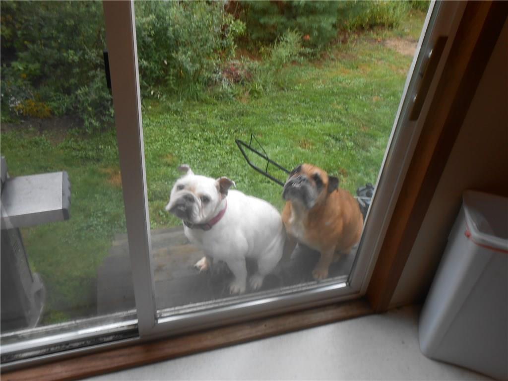 222 Cushing Road Cushing, ME 04563 - Photo 5 of 16 Friendly Visitors