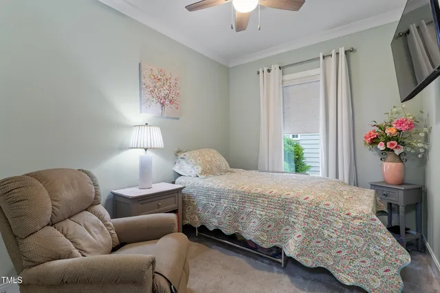 a bedroom with a bed couch and potted plant